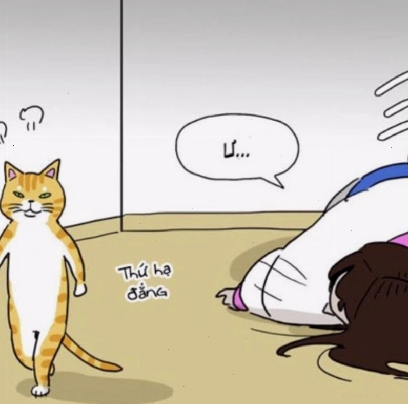 Meme tức giận cute yêu thể hiện sự bực bội đáng yêu