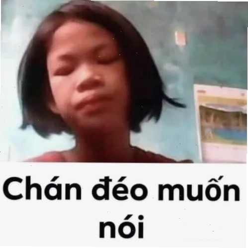Mèo chán đời với biểu cảm không muốn nói gì
