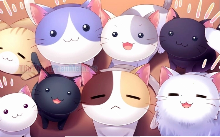 Mèo chibi mập cute