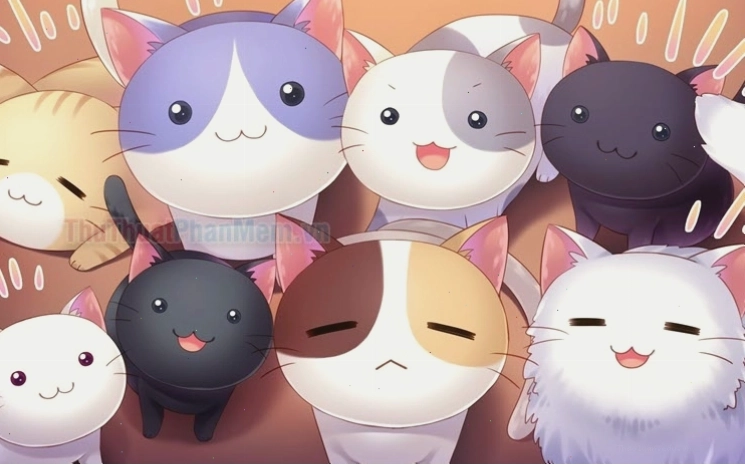 Mèo chibi mập cute đáng yêu