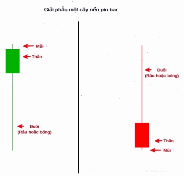 Minh họa đặc điểm hình thành nến Pin Bar trong các bối cảnh thị trường khác nhau