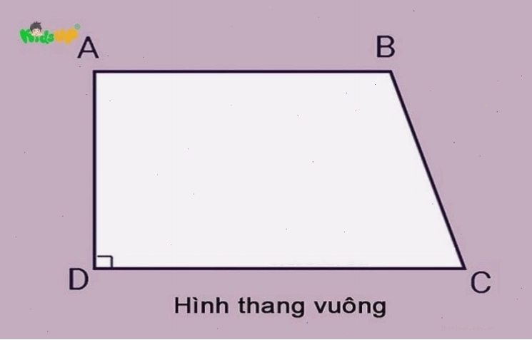 Minh họa hình thang cân và hình thang vuông