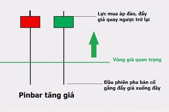 Mô hình nến Pin Bar tăng giá với bấc dài phía dưới