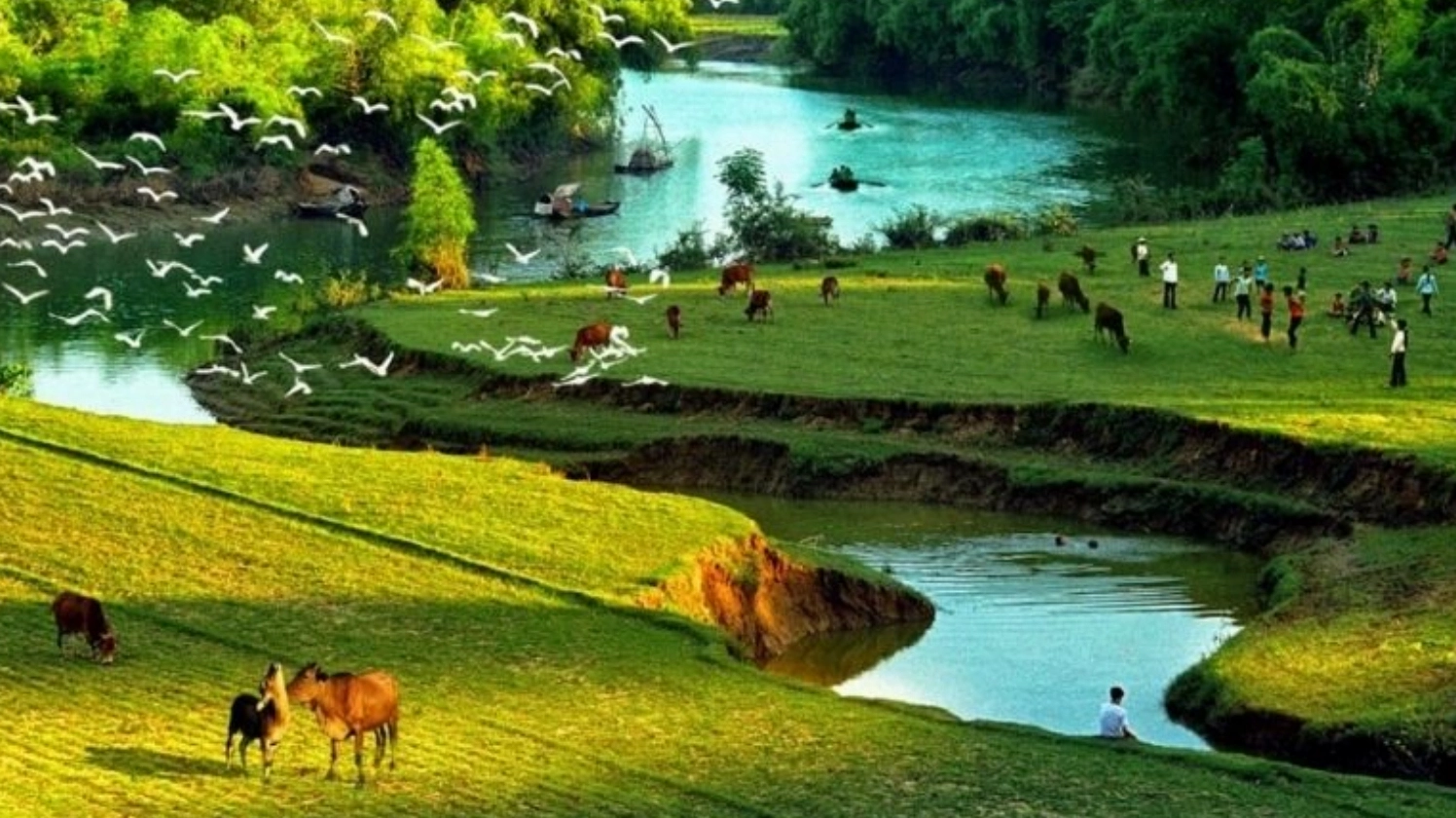 Ngắm nhìn 17+ hình nền thiên nhiên cực đẹp cho máy tính và điện thoại
