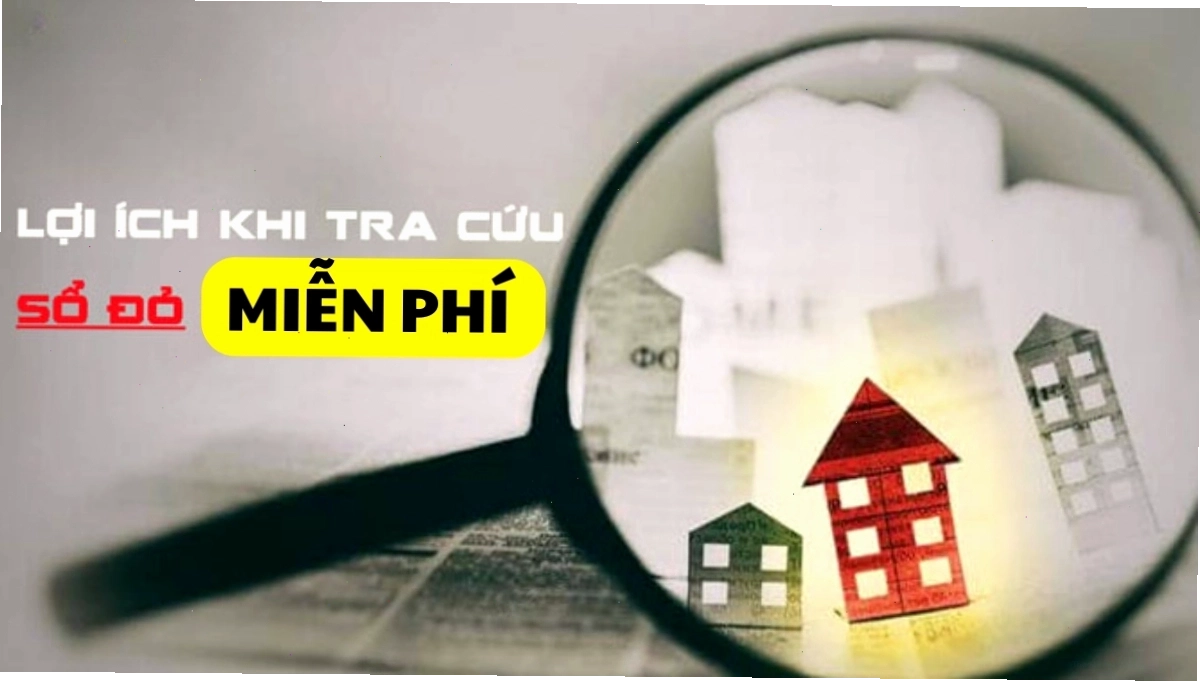 Người dùng đang thực hiện tra cứu sổ đỏ trên máy tính