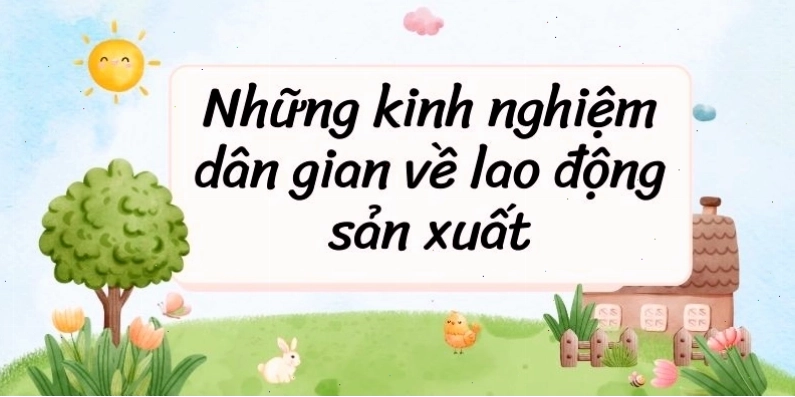 Người nông dân đang làm việc trên cánh đồng