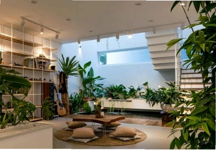 Nhà có nhiều cây xanh tốt là dấu hiệu phong thủy tốt