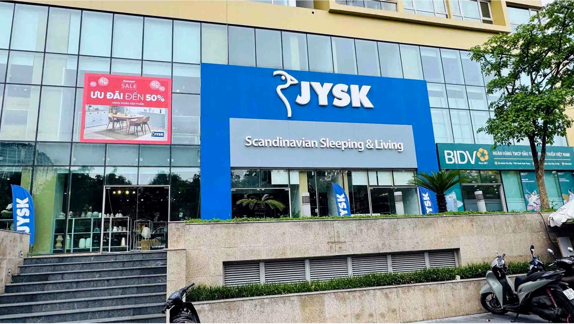 Nhiều chậu cây xanh nhỏ được sắp xếp trên kệ trưng bày tại cửa hàng