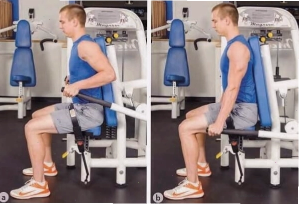 Những lưu ý quan trọng khi sử dụng máy tập tay sau