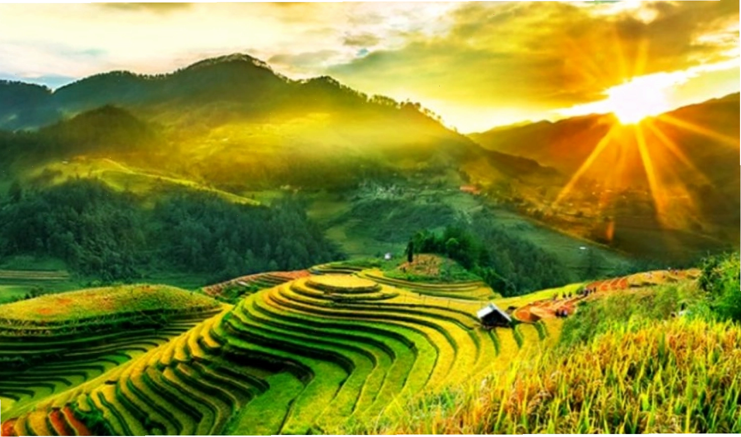Núi rừng hùng vĩ với những thửa ruộng bậc thang xanh mướt