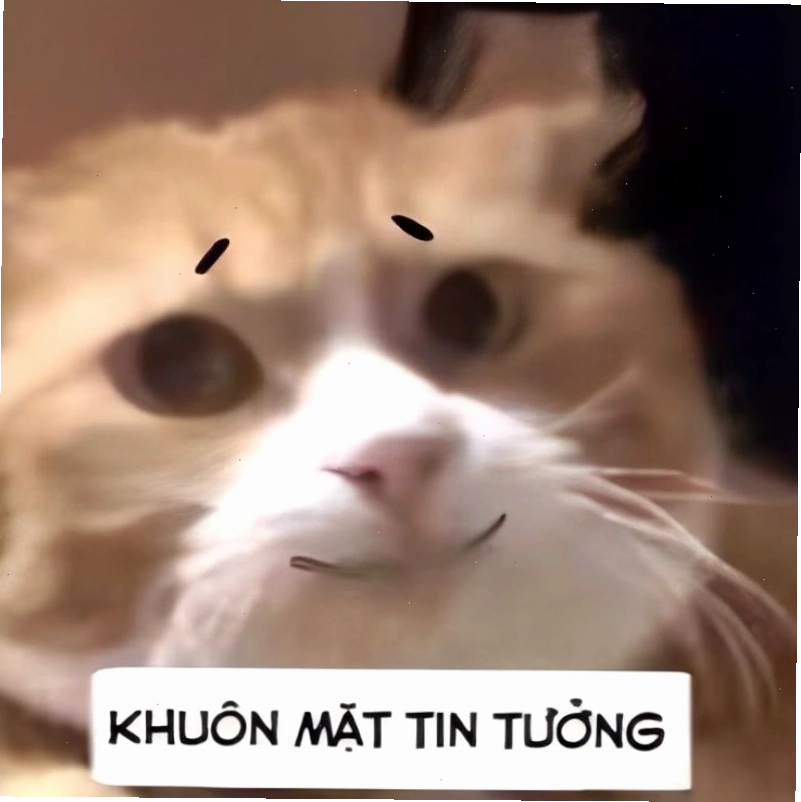 Quy trình tạo meme đéo tin