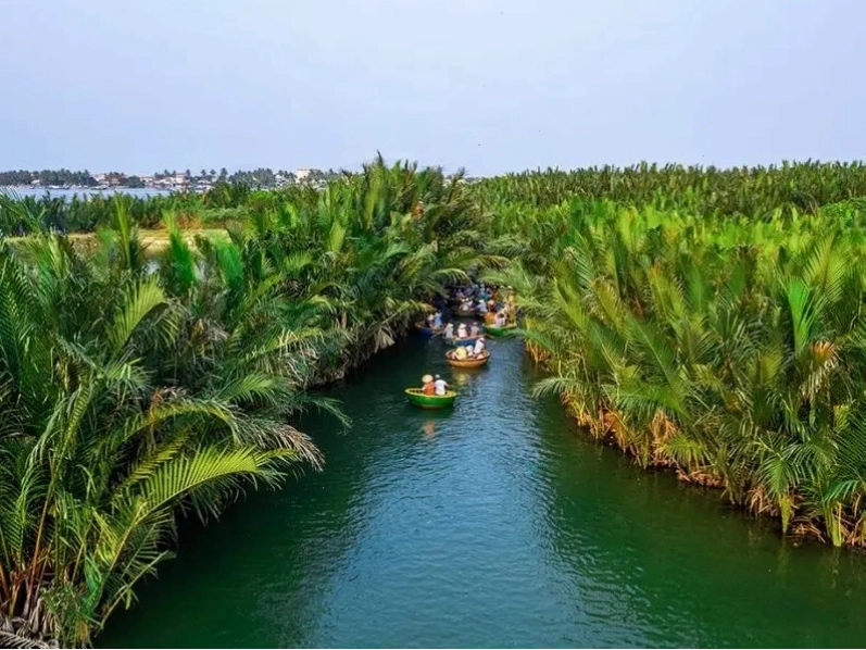 Rừng dừa Bảy Mẫu gần biển An Bàng