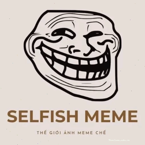 Selfish Meme logo