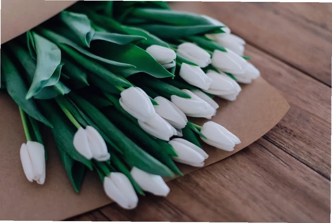 Sự kết hợp giữa hoa tulip trắng và hồng mang ý nghĩa tình yêu vừa trong sáng vừa lãng mạn