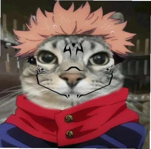 Sukuna meme đáng yêu