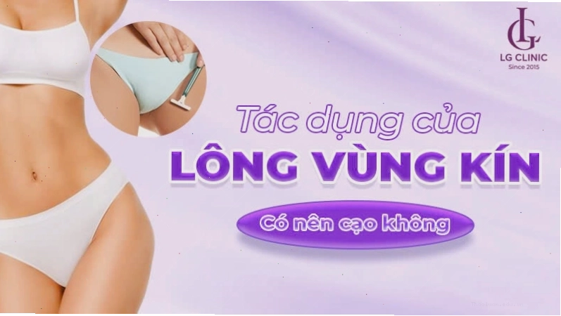 Tác dụng của lông vùng kín