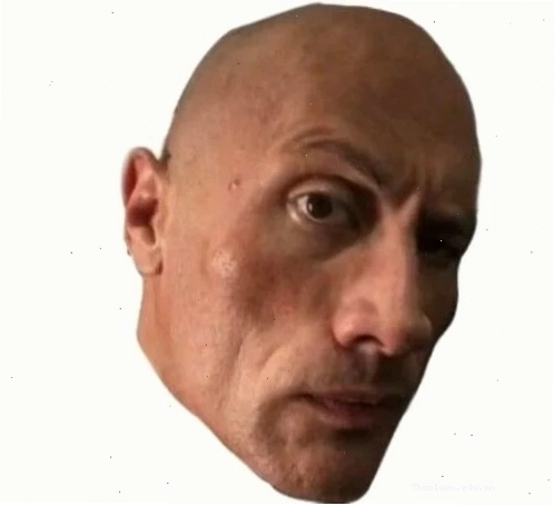 The rock eyebrows meme kinh điển