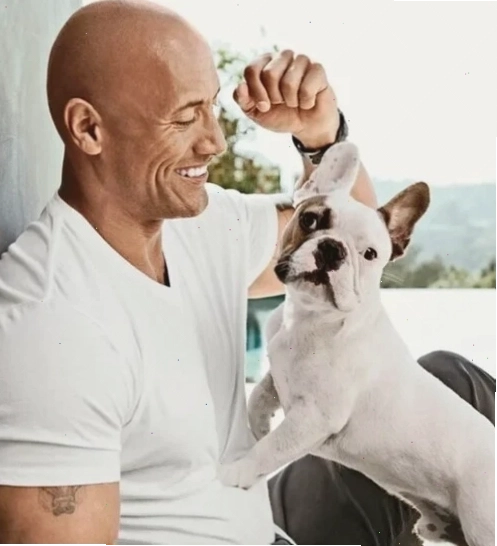 The rock mêm biểu cảm khó đỡ