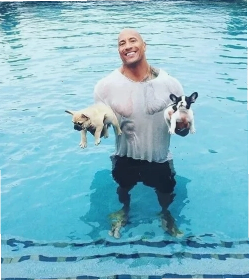 The rock memes với nhiều biểu cảm khác nhau