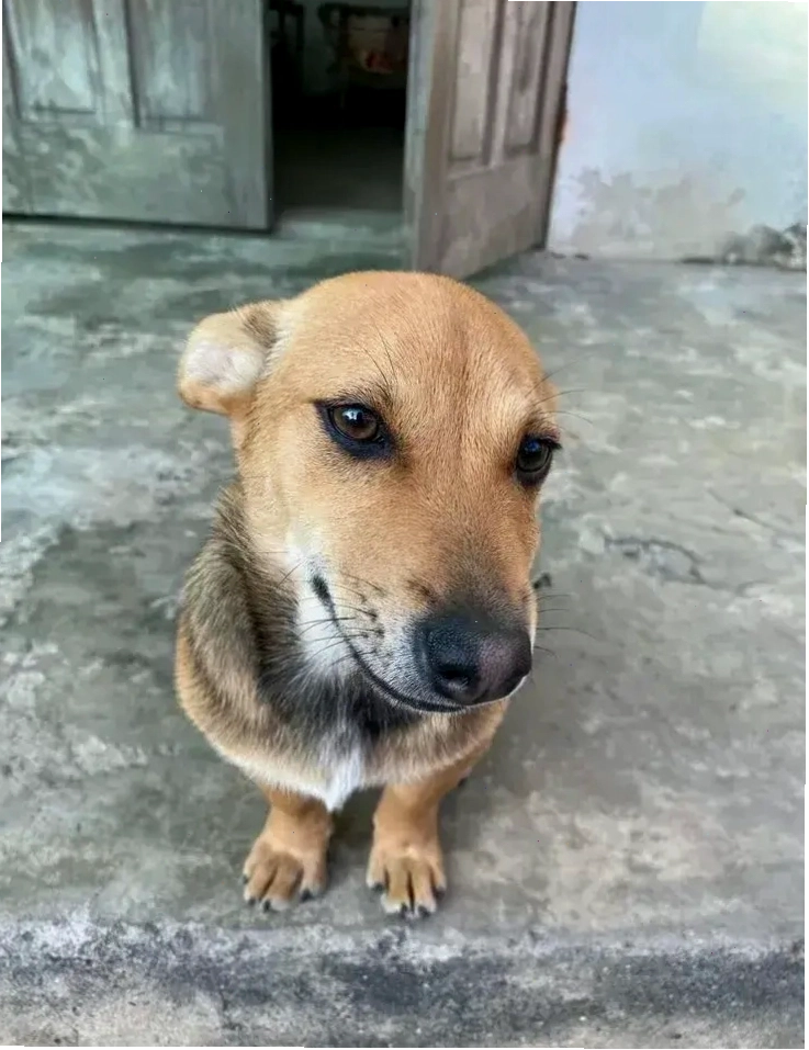 Thư viện meme liếc mắt đa dạng