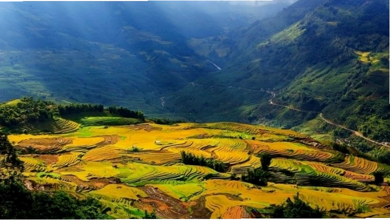 Thung lũng Mường Hoa với ruộng bậc thang và tảng đá cổ