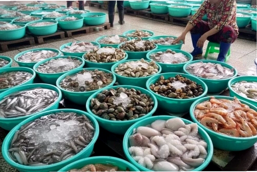 Thưởng thức hải sản tươi ngon tại chợ địa phương biển Quất Lâm