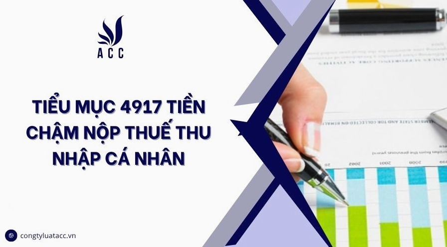 Tiểu mục 4917: Hướng dẫn chi tiết về quy định và cách hạch toán