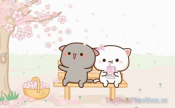 Tổng hợp 80+ Avatar Đôi Mèo Cute Cho Cặp Đôi Yêu Nhau 2026
