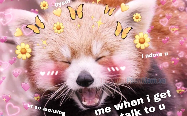 Tổng hợp 999+ Meme Tình Yêu Dễ Thương Nhất 2026