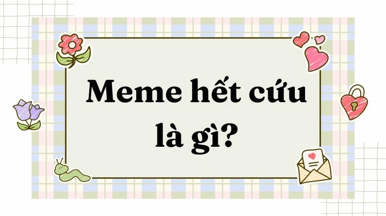 Tổng Hợp Meme Hết Cứu Cực Hài Hước và Biểu Cảm Khó Đỡ 2026