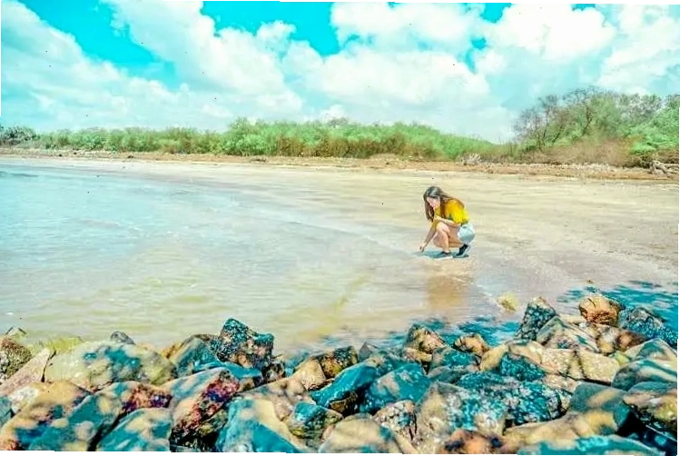 Trải nghiệm cào nghêu tại biển Tân Thành