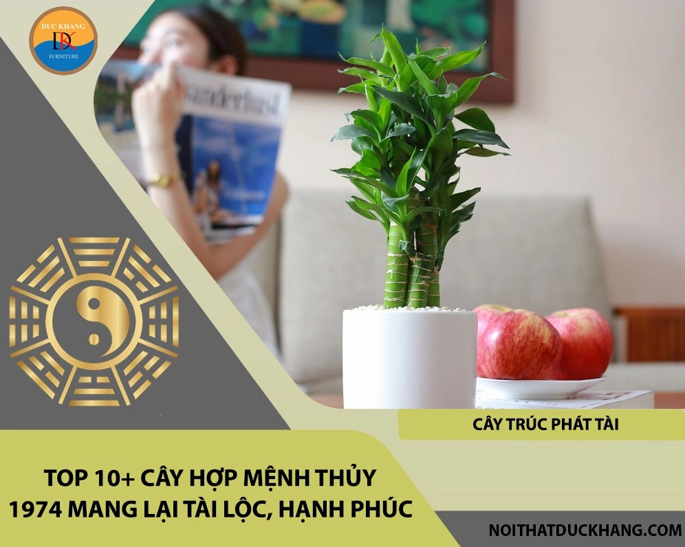 Tuổi Giáp Dần 1974 Trồng Cây Gì Hợp Phong Thủy Năm 2026?