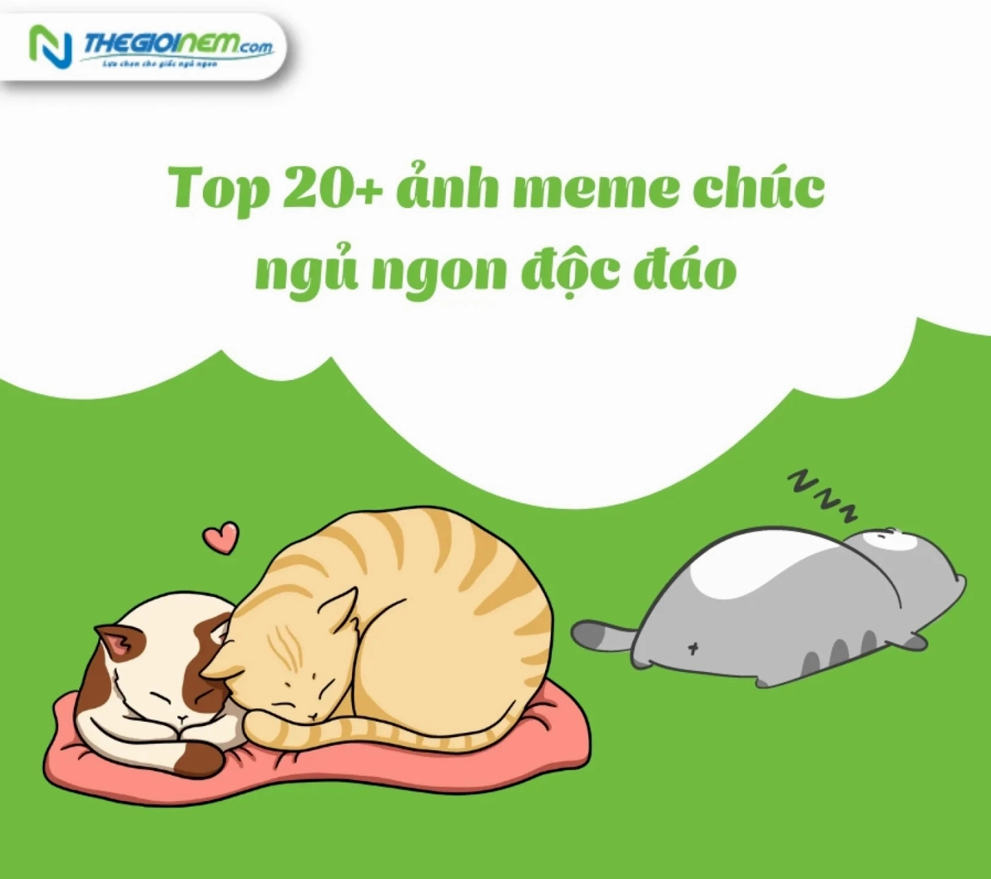 Tuyển Tập Meme Chúc Ngủ Ngon Hài Hước và Dễ Thương Nhất 2026