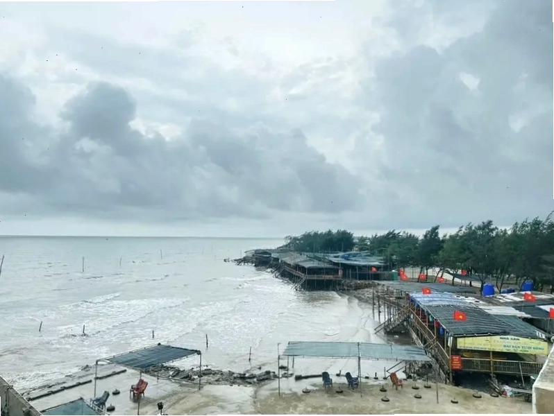 Vẻ đẹp hoang sơ của Cồn Vành