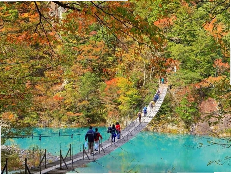 Vẻ đẹp thanh bình của Shizuoka dưới chân núi Phú Sĩ