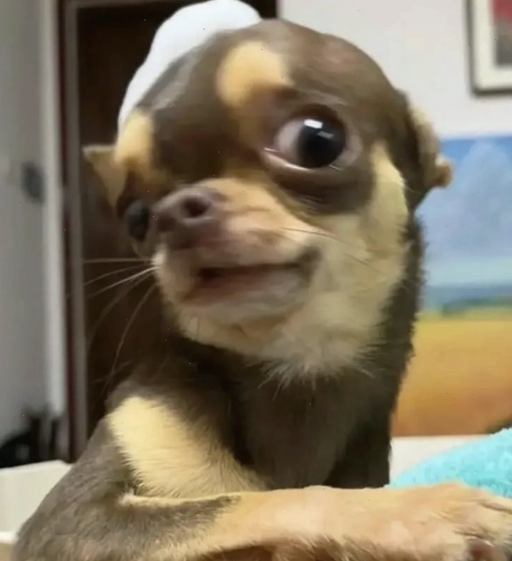 Ví dụ về việc sử dụng meme liếc mắt trong cuộc trò chuyện