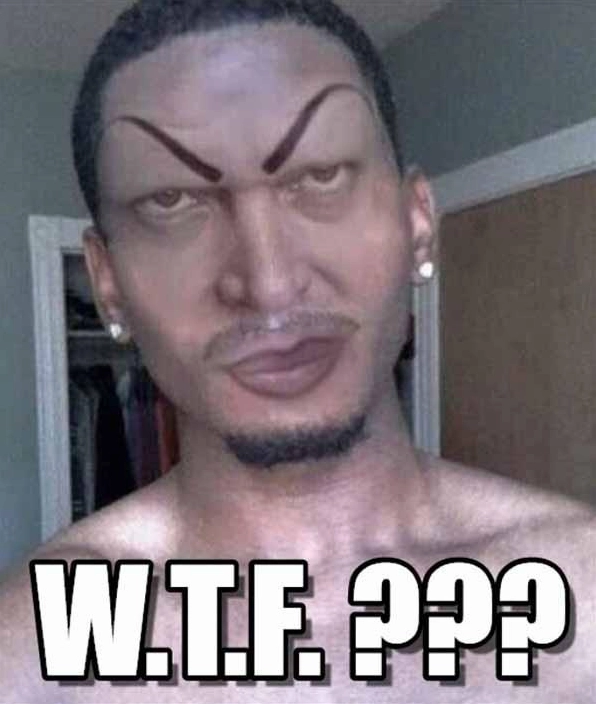 WTF Meme: Khám phá khoảnh khắc "Khó Đỡ" và "Cạn Lời" trên mạng