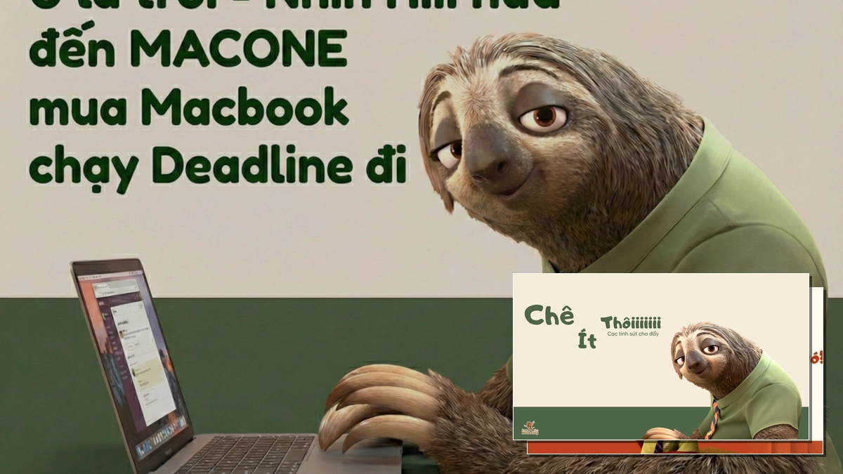Top 99 hình nền meme chủ đề công việc siêu lầy lội cho dân văn phòng 2026