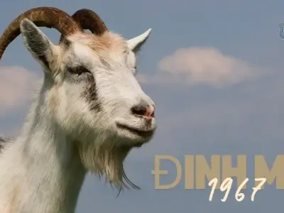 1967 Mệnh gì? Bí quyết giữ gìn sức khỏe, hạnh phúc