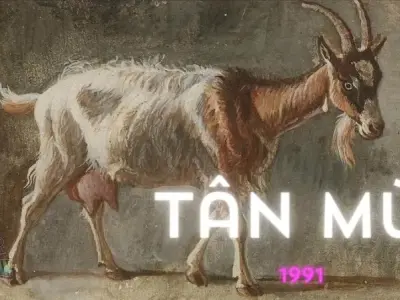 Sinh năm 1991 mang mệnh gì? Hướng dẫn xem tuổi trọn đời cho tuổi Mùi