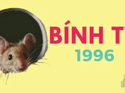 1996 Mệnh gì? Chọn màu sắc, tuổi hợp mang lại may mắn, thành công