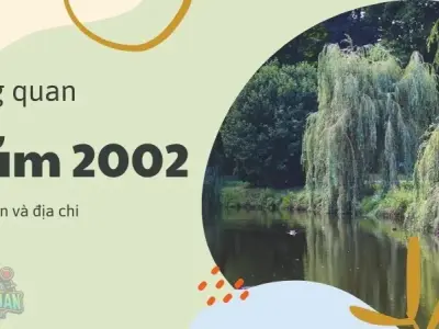 2002 mệnh gì? Hé lộ vận mệnh, tính cách và phong thủy
