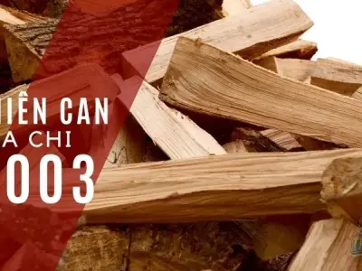 Sinh năm 2003 mệnh gì, tuổi con gì? Giải mã chi tiết phong thủy tuổi Quý Mùi