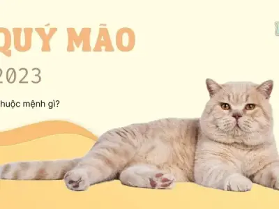 Năm 2023 thuộc mệnh gì, hợp màu gì, và tình duyên ra sao?