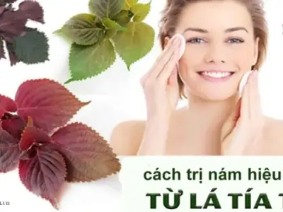 7 cách làm đẹp bằng lá Tía Tô mà bạn không nên bỏ qua