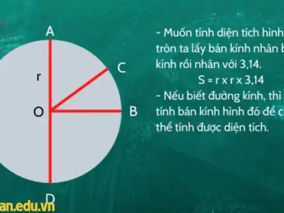 Định nghĩa hình tròn? Cách phân biệt đường tròn và hình tròn 