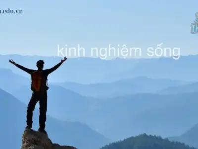 Khám phá tầm quan trọng về kinh nghiệm sống