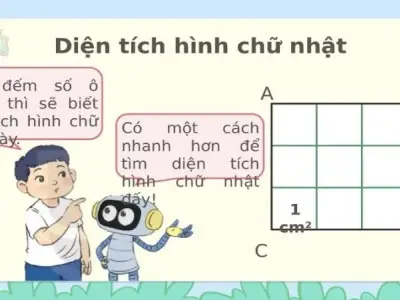 Tổng hợp các kiến thức định nghĩa hình chữ nhật