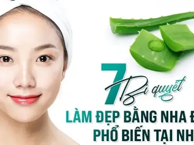 Top 7 cách làm đẹp bằng Nha Đam đơn giản và hiệu quả