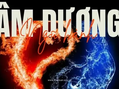 Âm Dương Ngũ Hành - Cẩm nang phong thủy ứng dụng cho mọi lĩnh vực